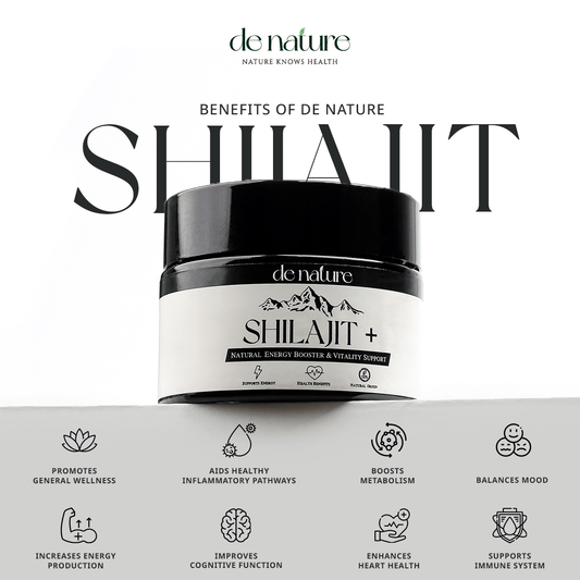 SHILAJIT + (15g) - de nature